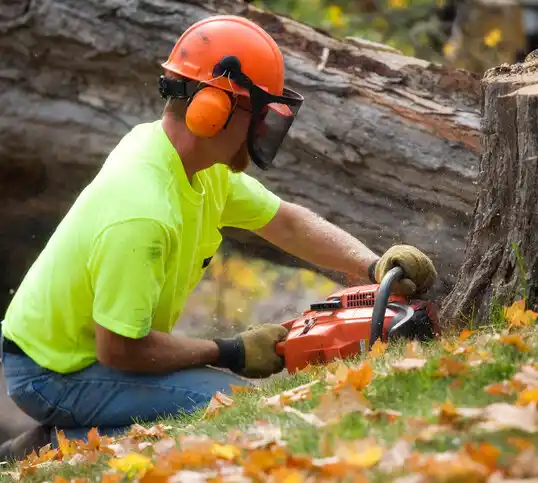 tree services Beavercreek